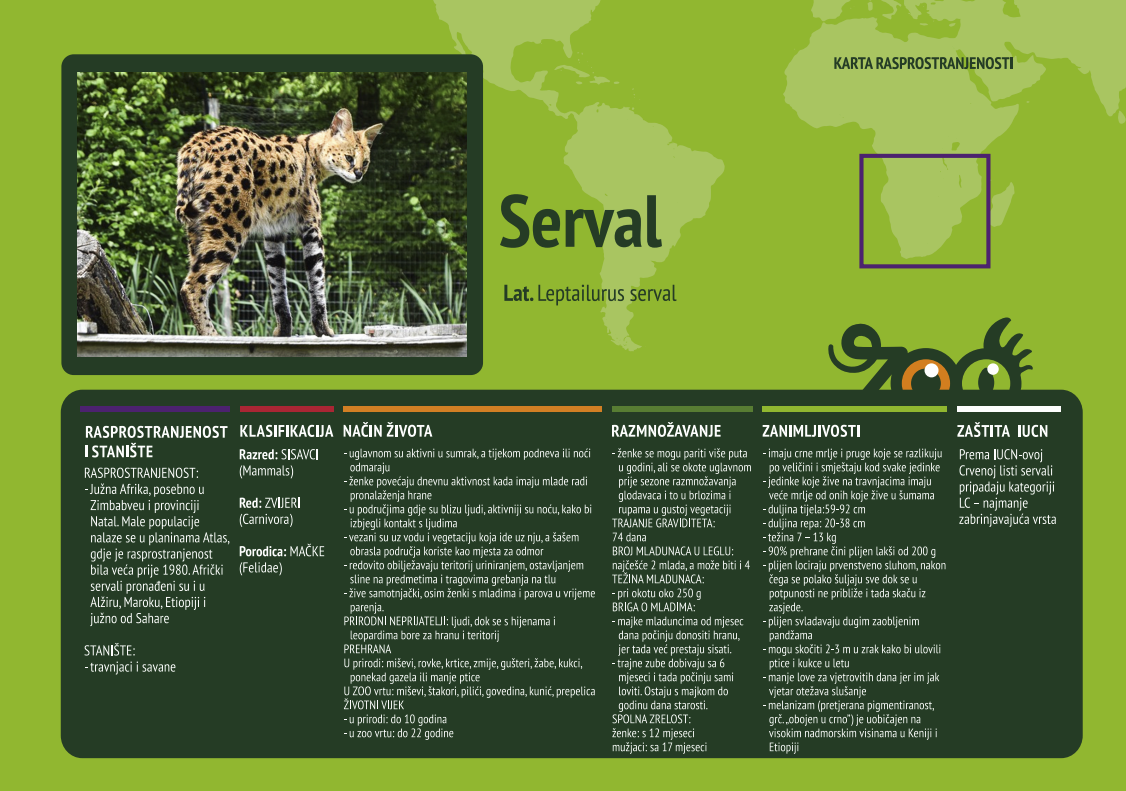 Serval