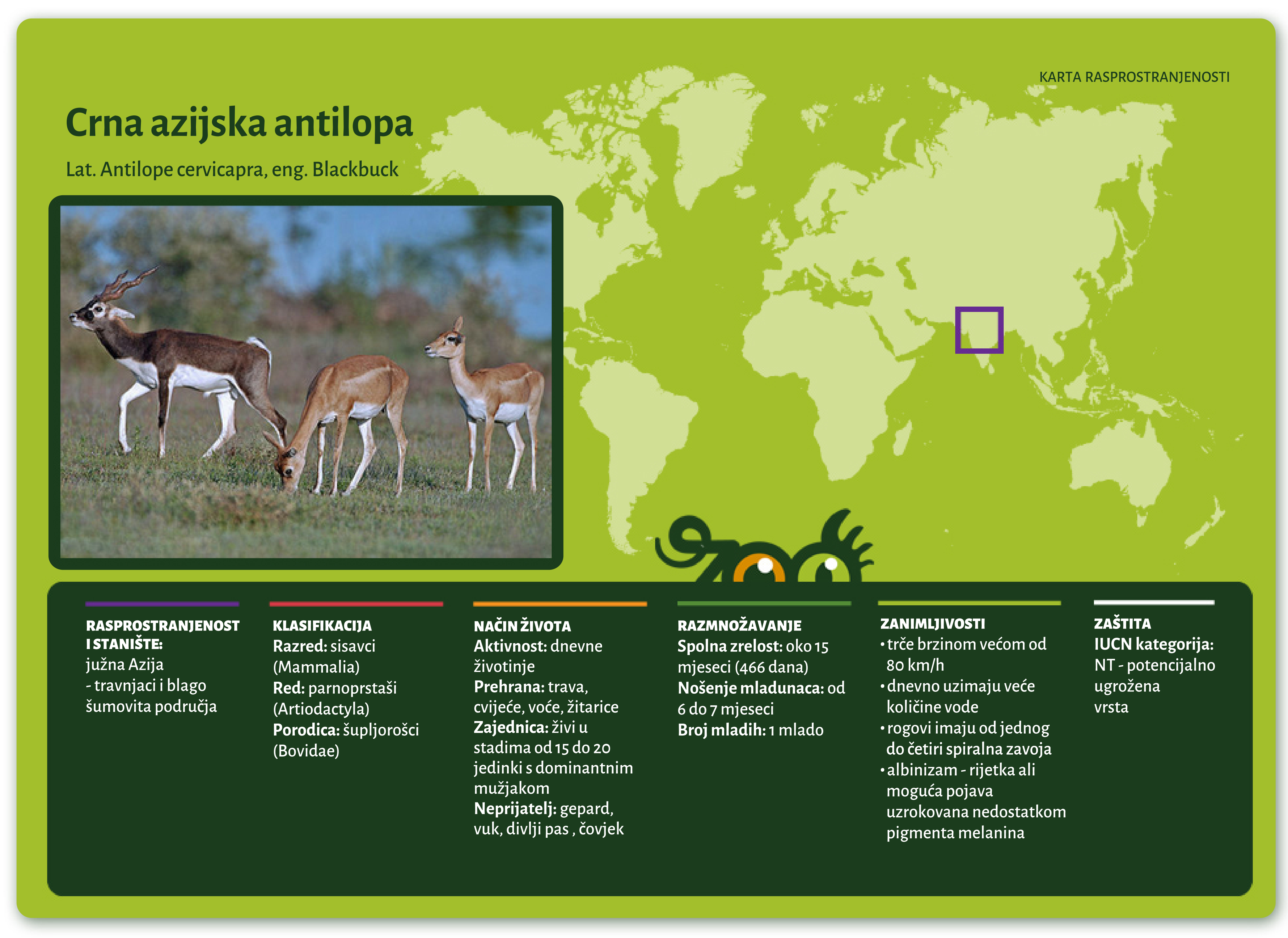 Crna azijska antilopa (Antilope cervicapra)