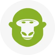 REPORTGORILLA