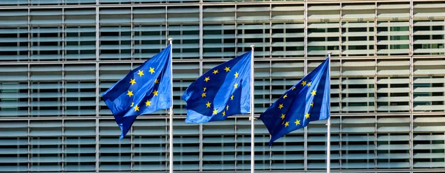 public-sector-custom-solutions-eu-project